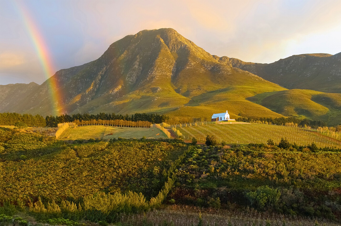 Hemel en Aarde Valley
