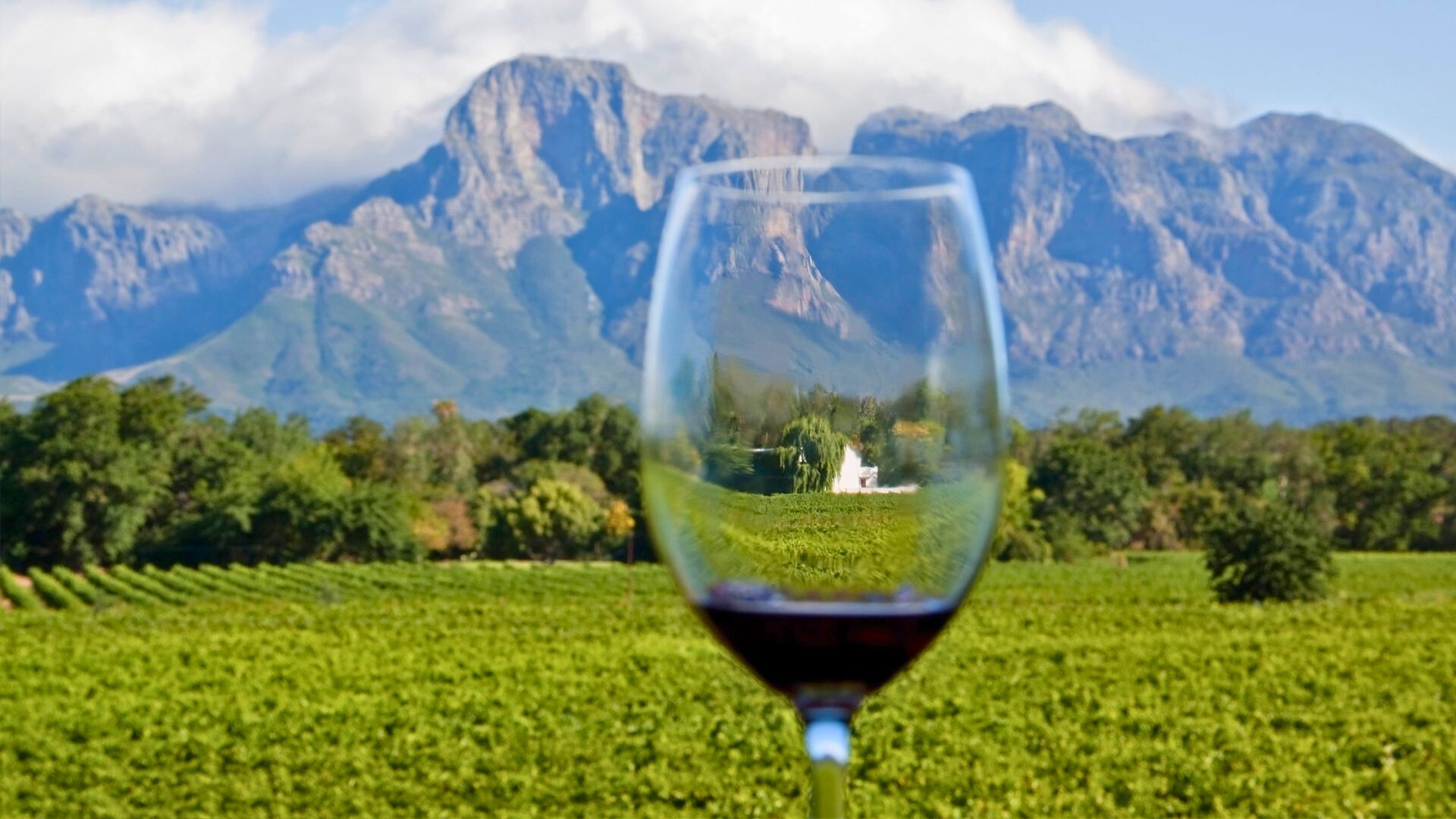 Kleinood Vineyard