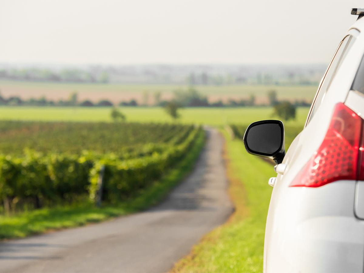 Winelands Transfers